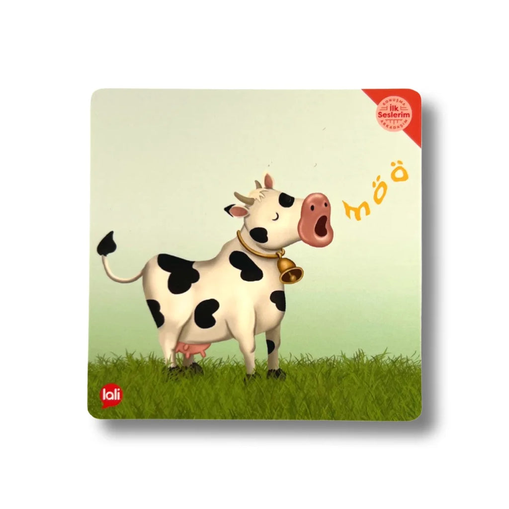 Konuşma Arkadaşım - İlk Seslerim