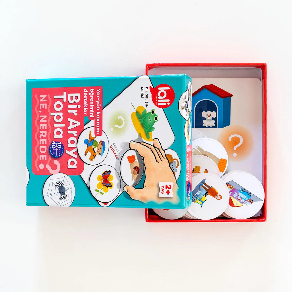 Bir Araya Topla - Ne, Nerede?