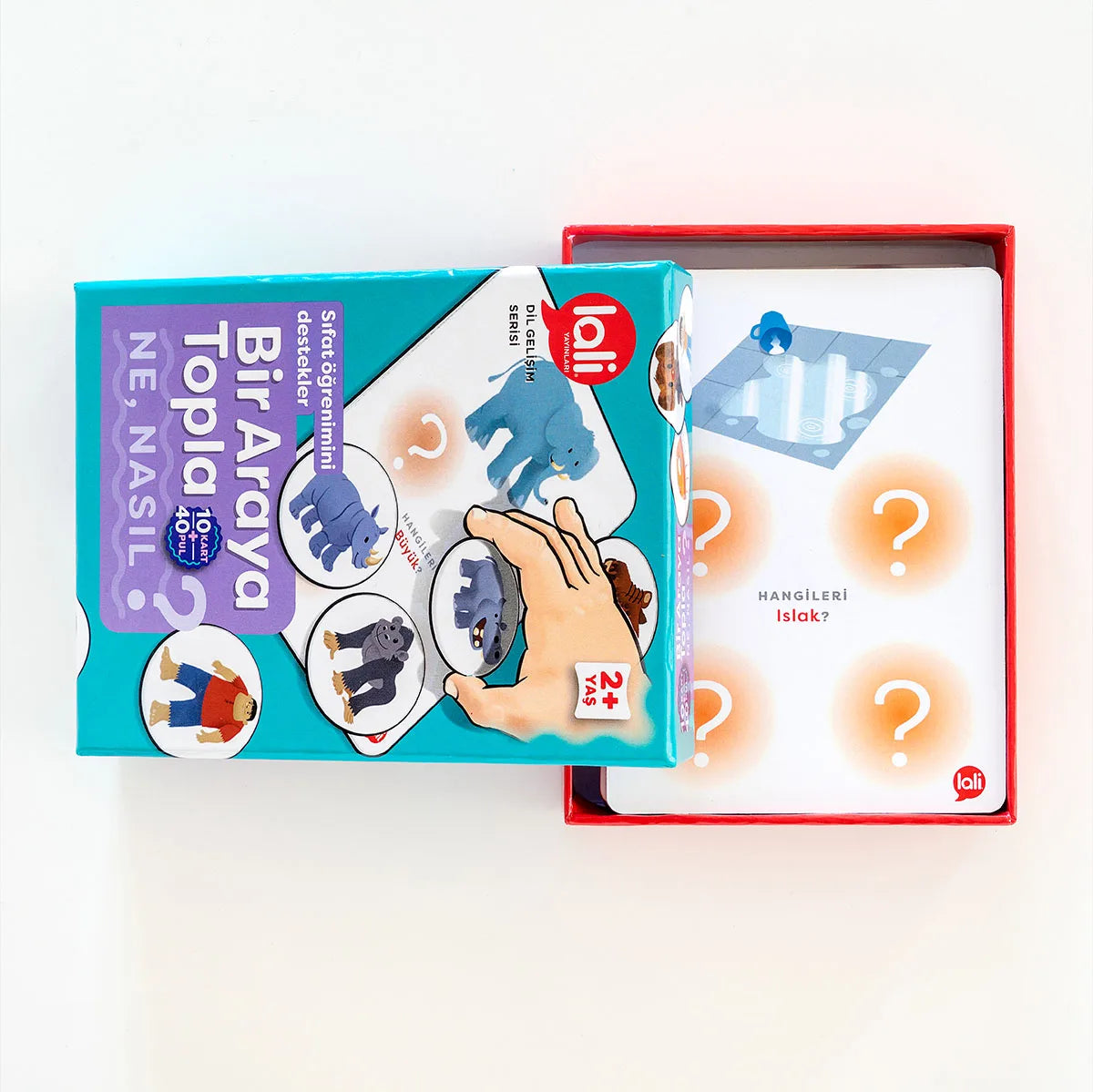 Bir Araya Topla - Ne, Nasıl?