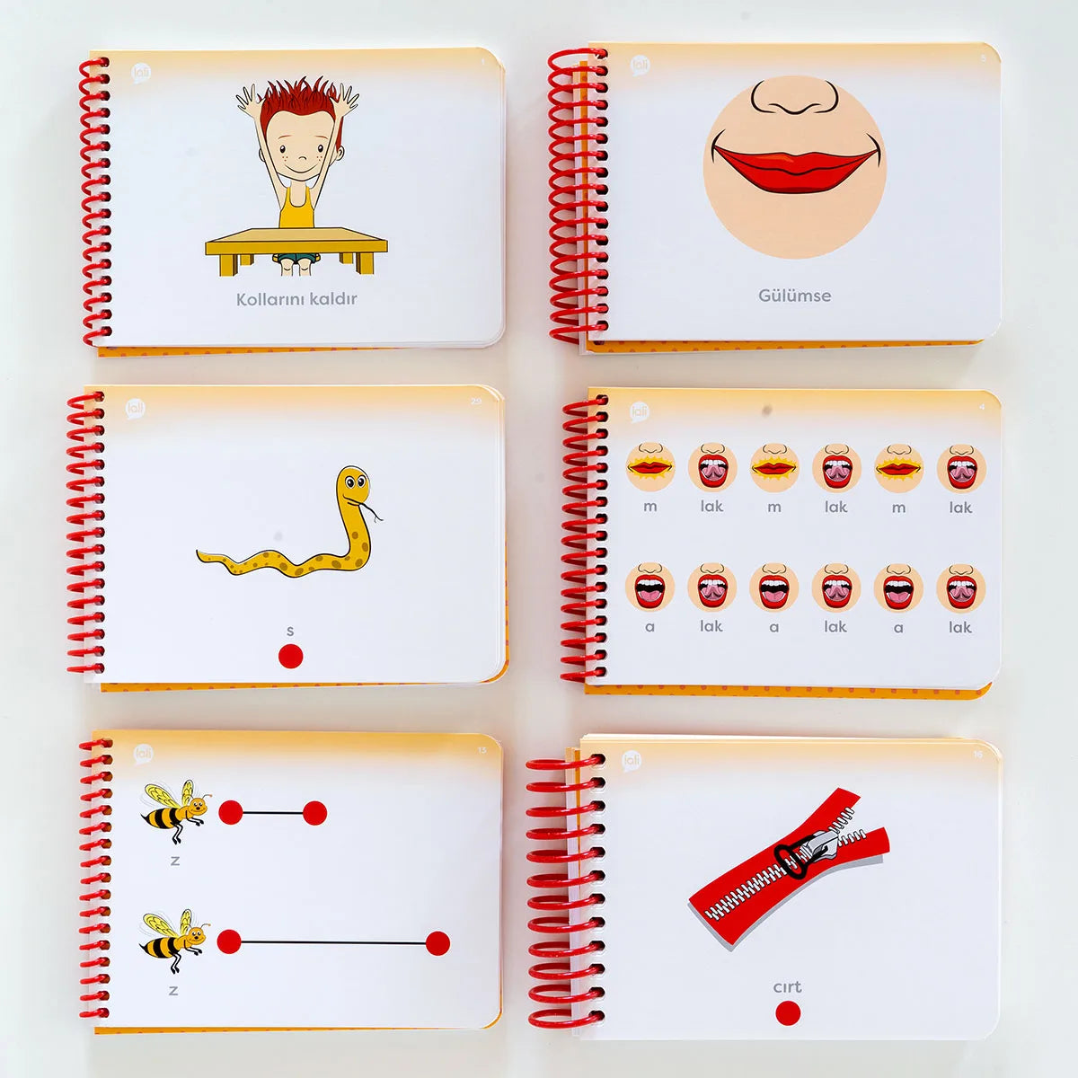 Adım Adım Konuşuyorum Eğitim Seti 1